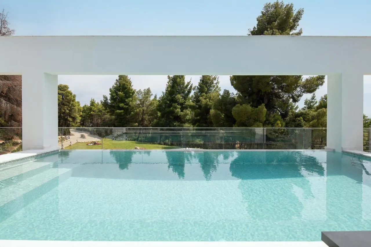 Nikiti Botanic Pool Suites Apartamento